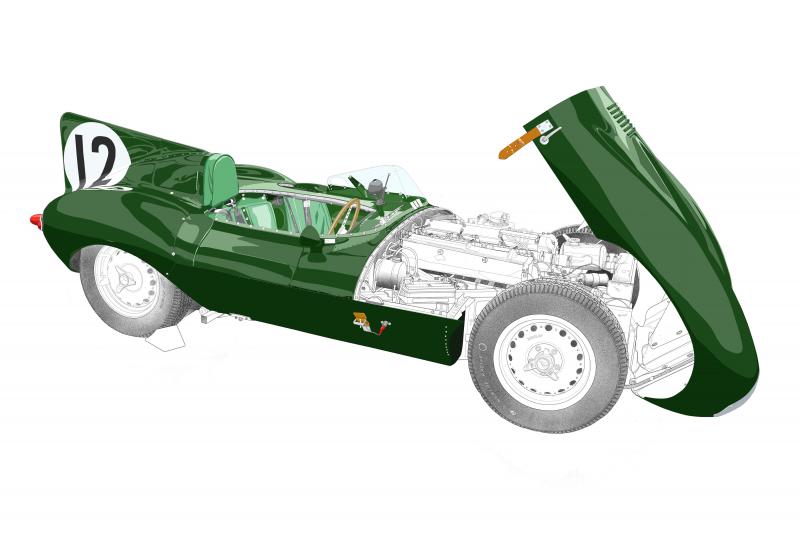 Jaguar 1954 XKD N12